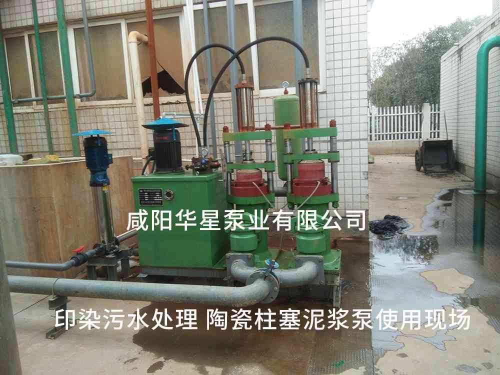 印染污水處理廠使用YBH250-30節(jié)能柱塞泥漿泵客戶案例-第二個(gè)現(xiàn)場(chǎng) 印染污水處理廠使用YBH250-30節(jié)能柱塞泥漿泵客戶案例-第二個(gè)現(xiàn)場(chǎng)